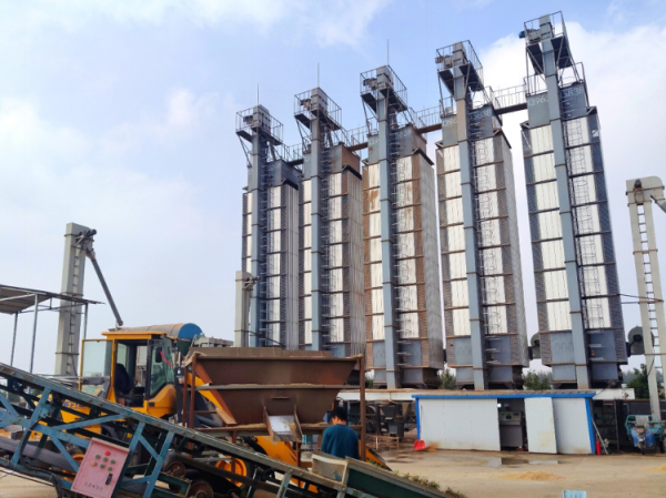 赢翻网 潍坊诸城石桥子镇：聚力“三秋”显担当 党群同心保归仓